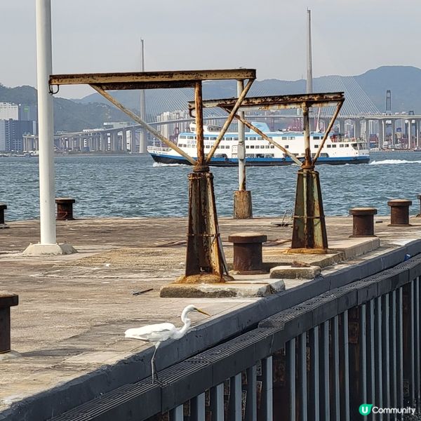 中西區海濱長廊