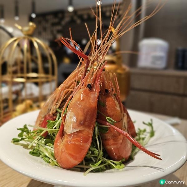 新派創意 ▪︎ 潮點