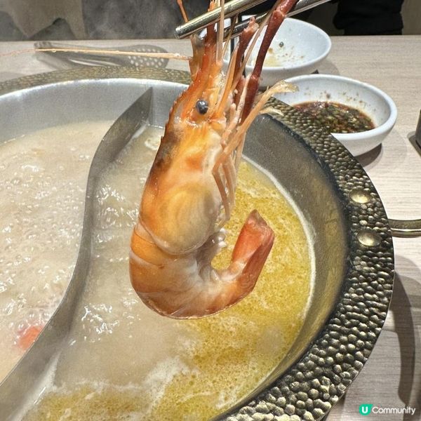🤩任夾活蝦🦐超多膏😍泰式高質火鍋火鍋🍲