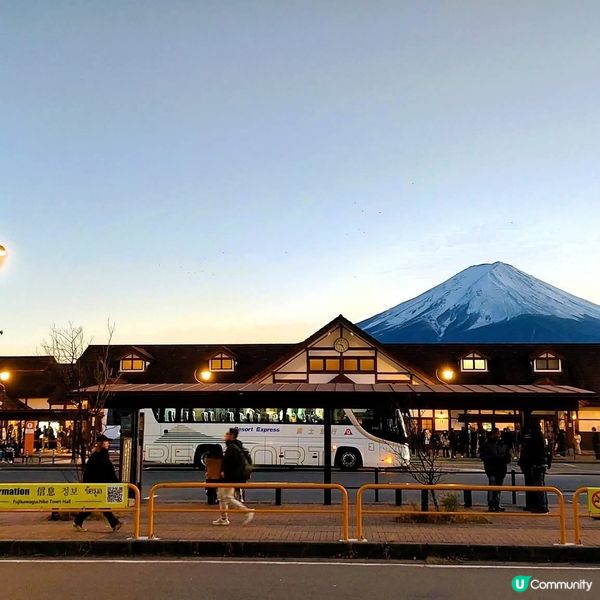 河口湖駅賞富士山攻略！🗻❄️ 幾粒鐘都夠！