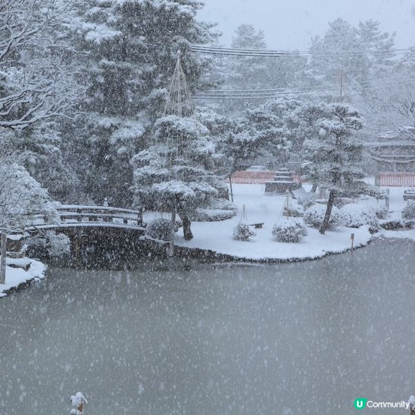 冬雪 新潟 白山公園❄️☃️⛄️