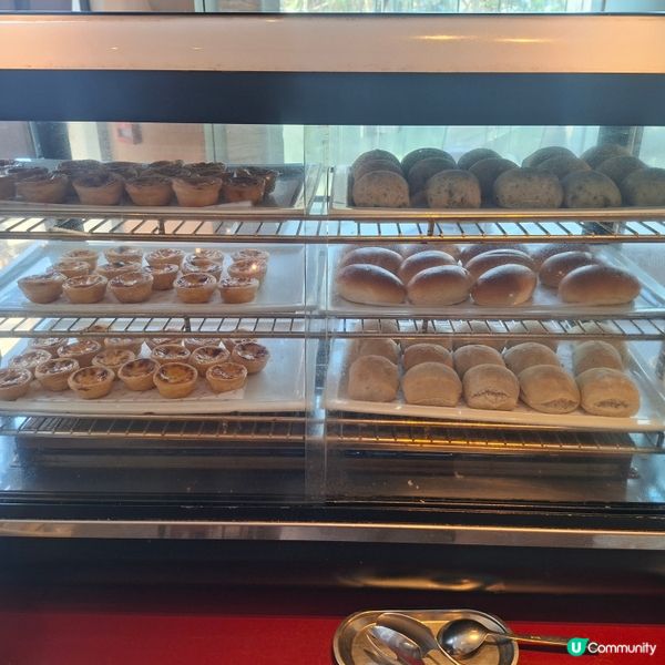 ✨️將軍澳五星級酒店自助午餐🤤多款刺身生蠔選擇🤭多甜品吃