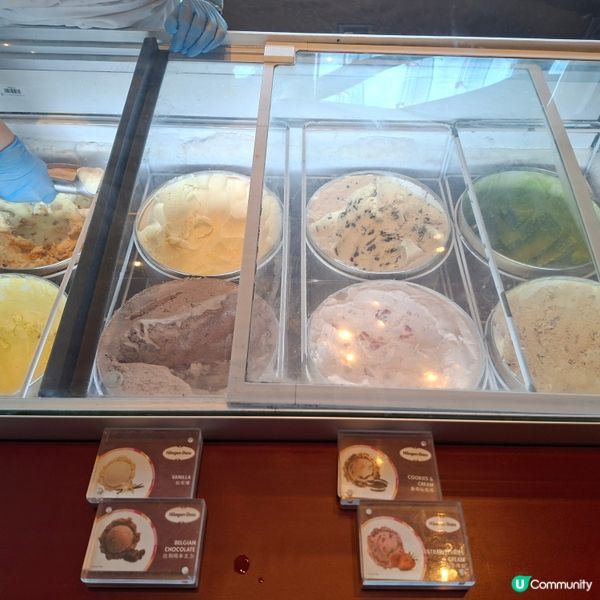 ✨️將軍澳五星級酒店自助午餐🤤多款刺身生蠔選擇🤭多甜品吃