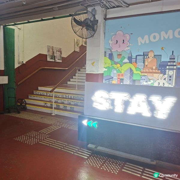 StayBarHK天星小輪酒吧🚢週末Chill爆維港夜🍻