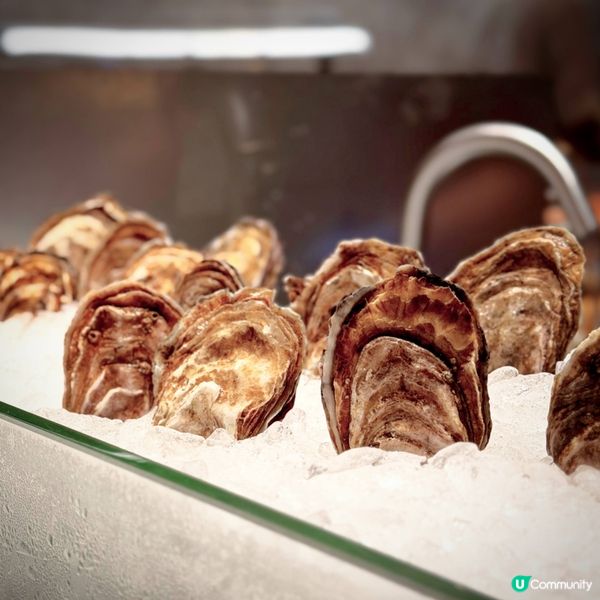 迷人紅心聖誕自助晚餐@Alva House