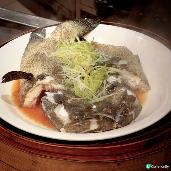 迷人紅心聖誕自助晚餐@Alva House