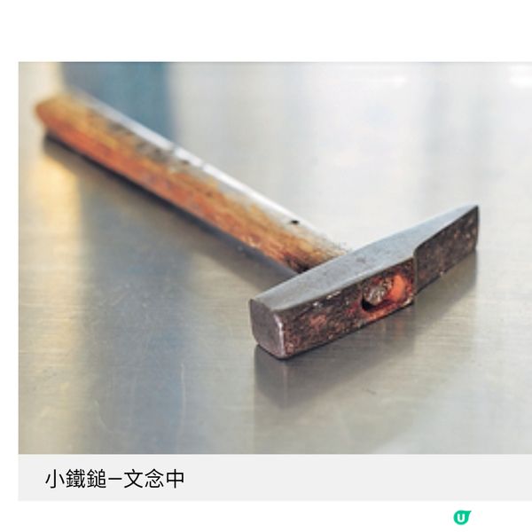 歐陽應霽展覽《不斷不捨不離》 關於修復共存與再生的生活告白