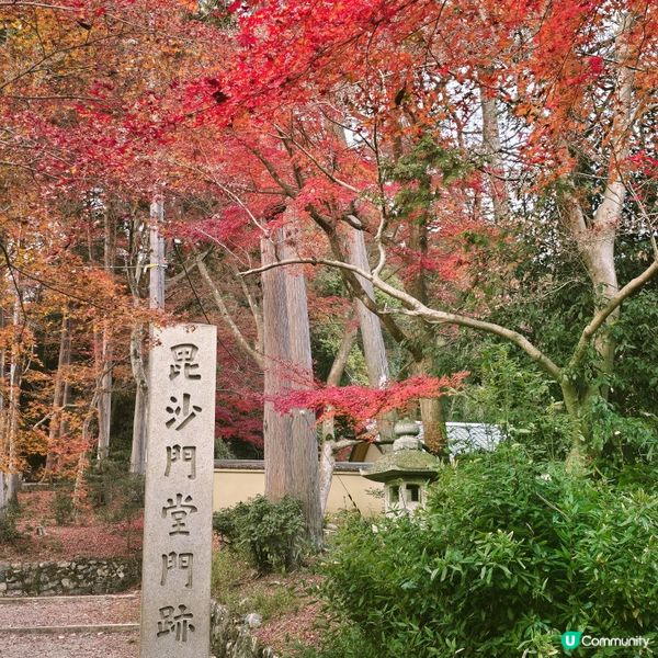 京都紅葉🍁秘境,靜心行走毘沙門堂❤️