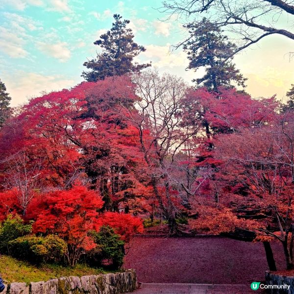 京都紅葉🍁秘境,靜心行走毘沙門堂❤️