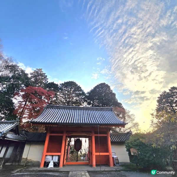 京都紅葉🍁秘境,靜心行走毘沙門堂❤️