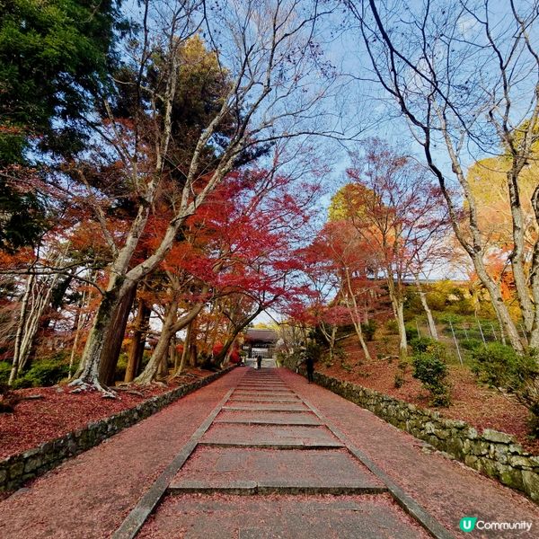 京都紅葉🍁秘境,靜心行走毘沙門堂❤️