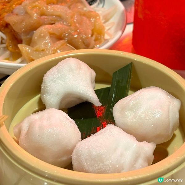 尖沙咀•雞煲聚會任坐🤤 雙雞煲+牛肉拼盤勁正🥩🍲