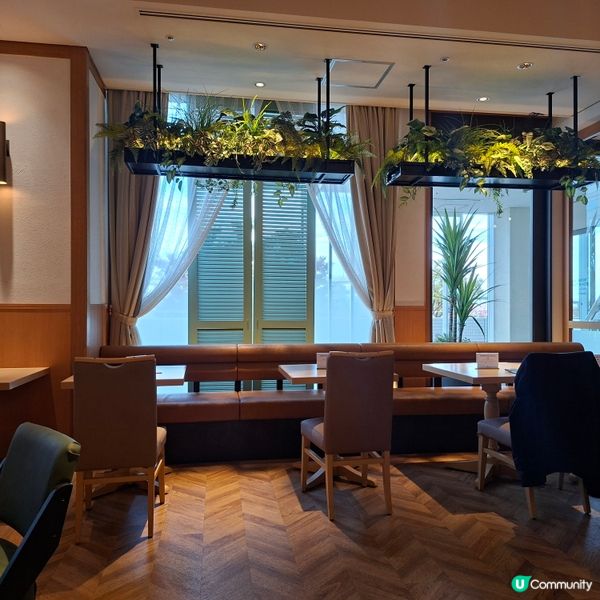 ✨️關西機場華盛頓酒店🤤高質西式自助餐推薦💞