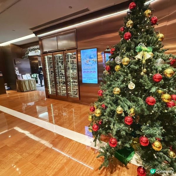 年尾獎勵自己！🦞鴨肝佛跳牆🤤！六國酒店自助餐！🎉