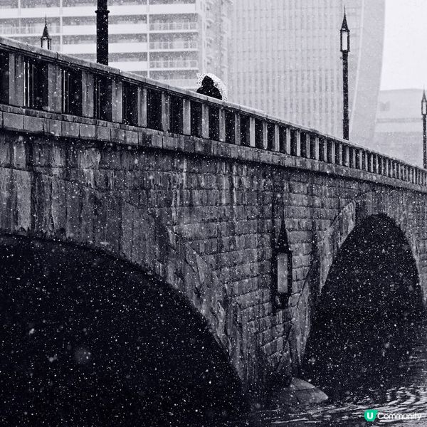 萬代橋雪景❄️！新潟冬日浪漫之旅🌉！