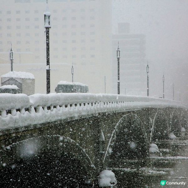 萬代橋雪景❄️！新潟冬日浪漫之旅🌉！