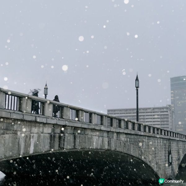 萬代橋雪景❄️！新潟冬日浪漫之旅🌉！