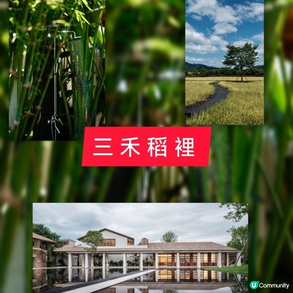 🌾逃離繁囂，清遠~隱世稻香書院