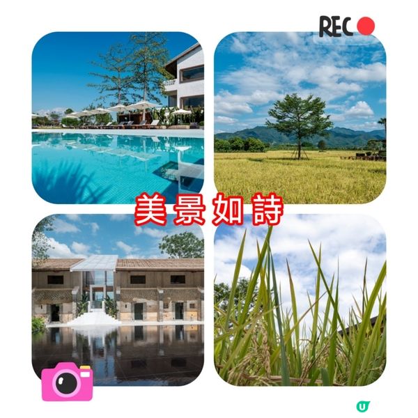 🌾逃離繁囂，清遠~隱世稻香書院