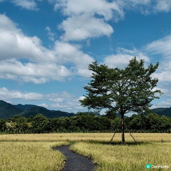 🌾逃離繁囂，清遠~隱世稻香書院