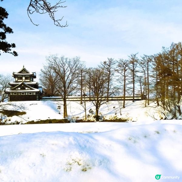 高田城冬日雪景❄️！冰上城堡🏰超靚！