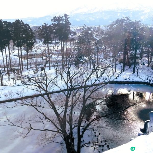 高田城冬日雪景❄️！冰上城堡🏰超靚！