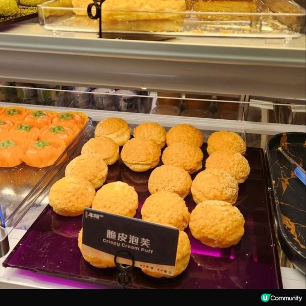 旺角乳鴿放題！🤤120分鐘任食麻辣鍋！🔥