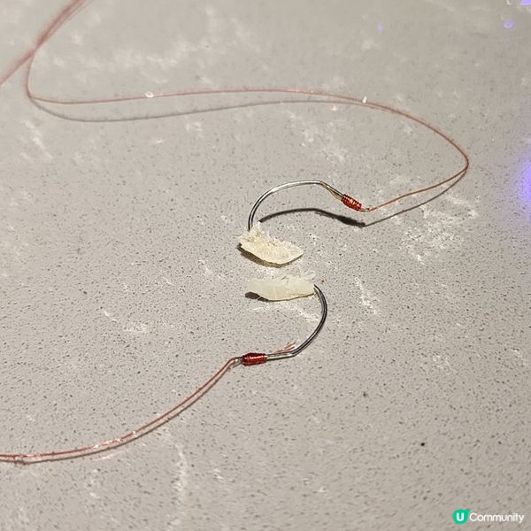 釣蝦樂趣多！新蒲崗親子好去處🎣🥳