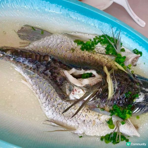 大埔火災💔珠海療癒之旅！放鬆身心😌 享受美食😋