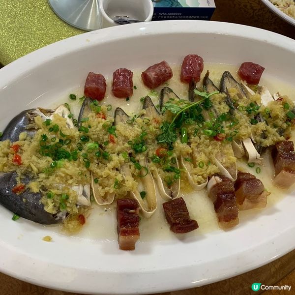 大埔火災💔珠海療癒之旅！放鬆身心😌 享受美食😋