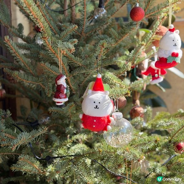 天后隱世小店！🍜 文青工業風中日Fusion😋