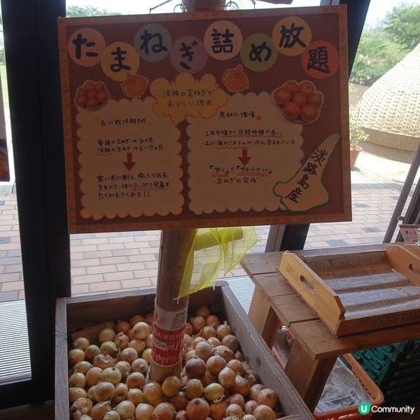 淡路島廢校變身！🏫 食買玩全攻略！😋