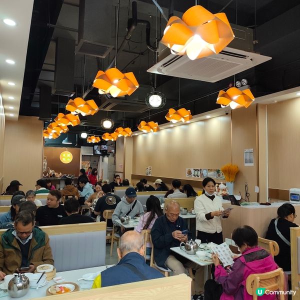 蝦餃燒賣正到爆！😋 點心控必去！