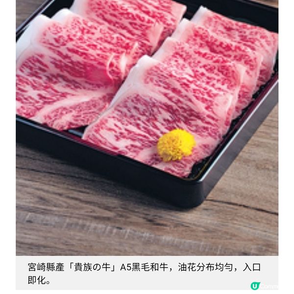 壽喜燒放題秘製醬汁提升層次海膽龍蝦鍋 A5和牛無限任食