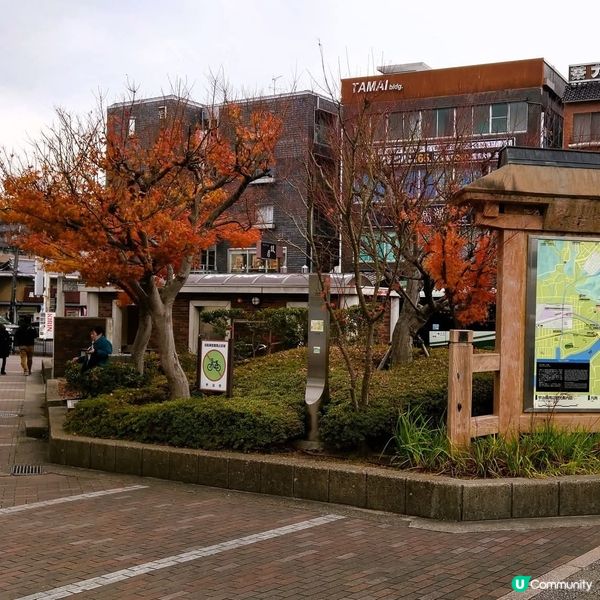 宇治🍵：京都古都茶香之旅！🏯✨