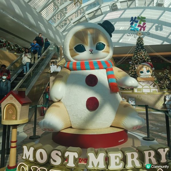 🌸🌸MonTown Mofusand聖誕佈置🌸🌸~
