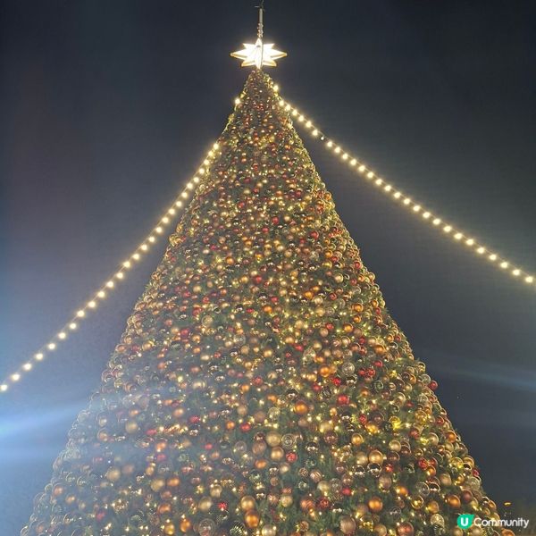 ✨️西九聖誕小鎮🎄玩轉美食+表演🎉