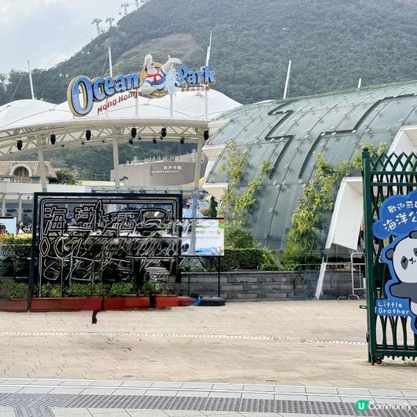 五款必試星馬菜！