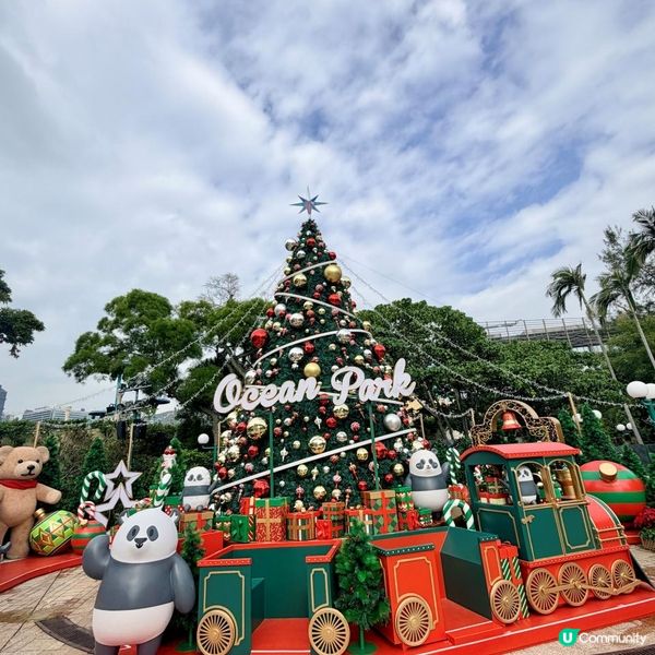 五款必試星馬菜！