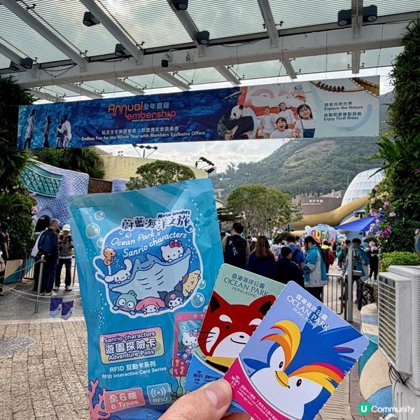 五款必試星馬菜！