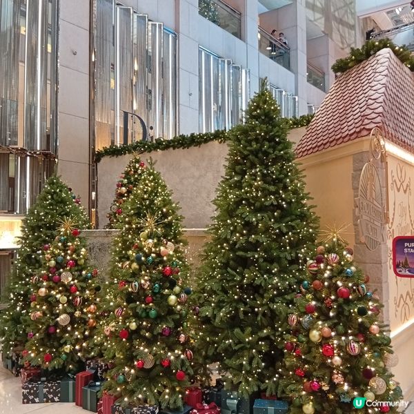 置地聖誕法式小鎮！🎄 祈願湖等你嚟！✨