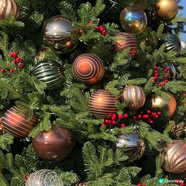 西九聖誕唔會令你失望