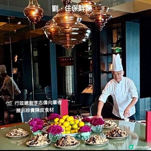 陳皮盛宴-從青澀到醇厚的舌尖享受