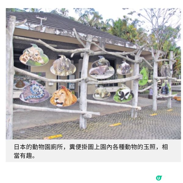日本型格 廁文化一覽