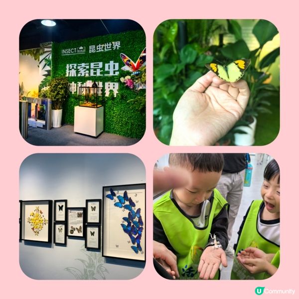 北上玩轉領展中心城！🥳 玩樂食買全攻略！