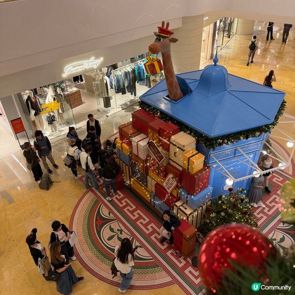 太古廣場聖誕🎄！貓仔神秘出場🐯！