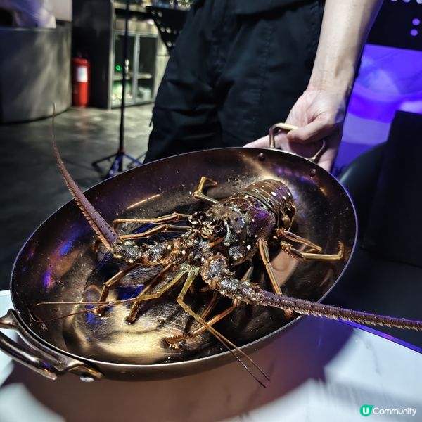 尖沙咀星空晚餐🌃！鵝肝龍蝦超正🤤！