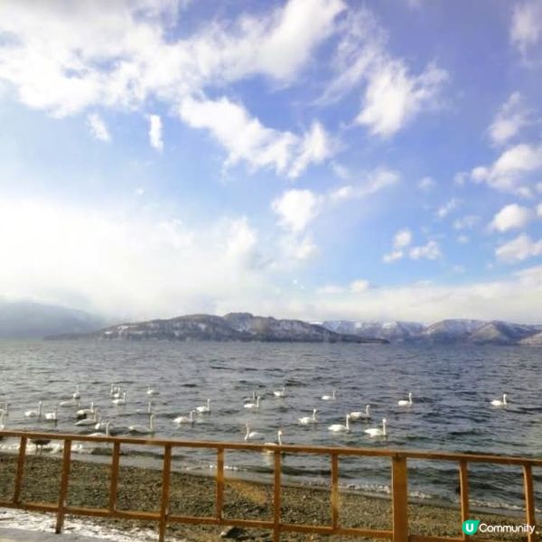 摩周湖🌊！世界級透明度嘅藍湖！🤩