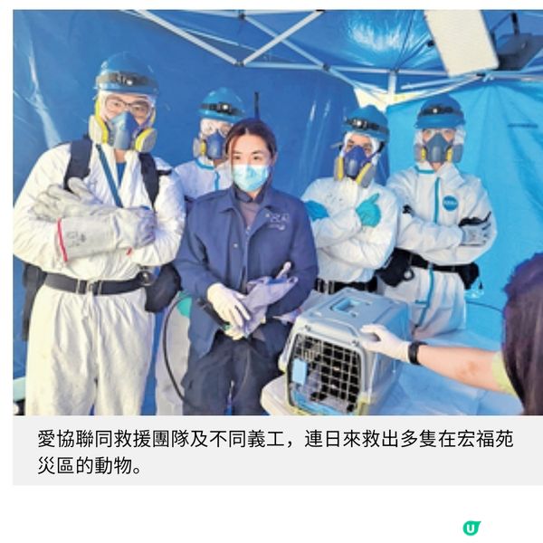 動保組織大埔災場無間斷拯救愛協持續支援情緒受困飼主走出陰霾