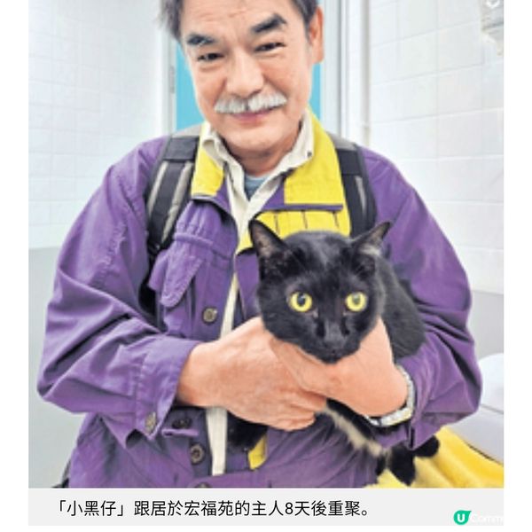 動保組織大埔災場無間斷拯救愛協持續支援情緒受困飼主走出陰霾